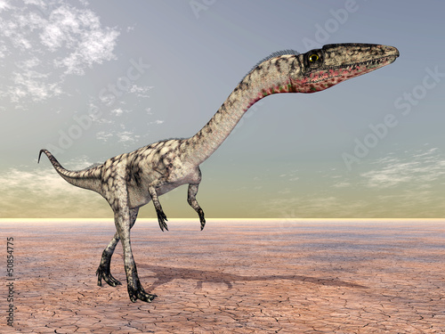 Dinosaurier Coelophysis