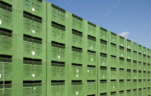Green Fruit packing crates