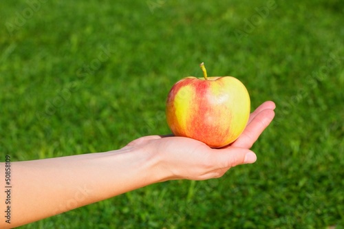 Hand of a young woman held an apple.