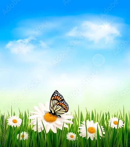 Nature background with green grass and flowers witn butterfly. V © ecco
