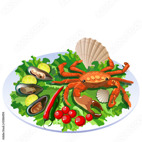 Crab in salad on the white plate