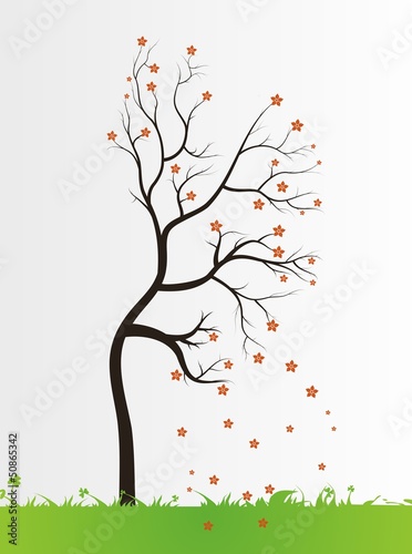tree with color leaves on white background