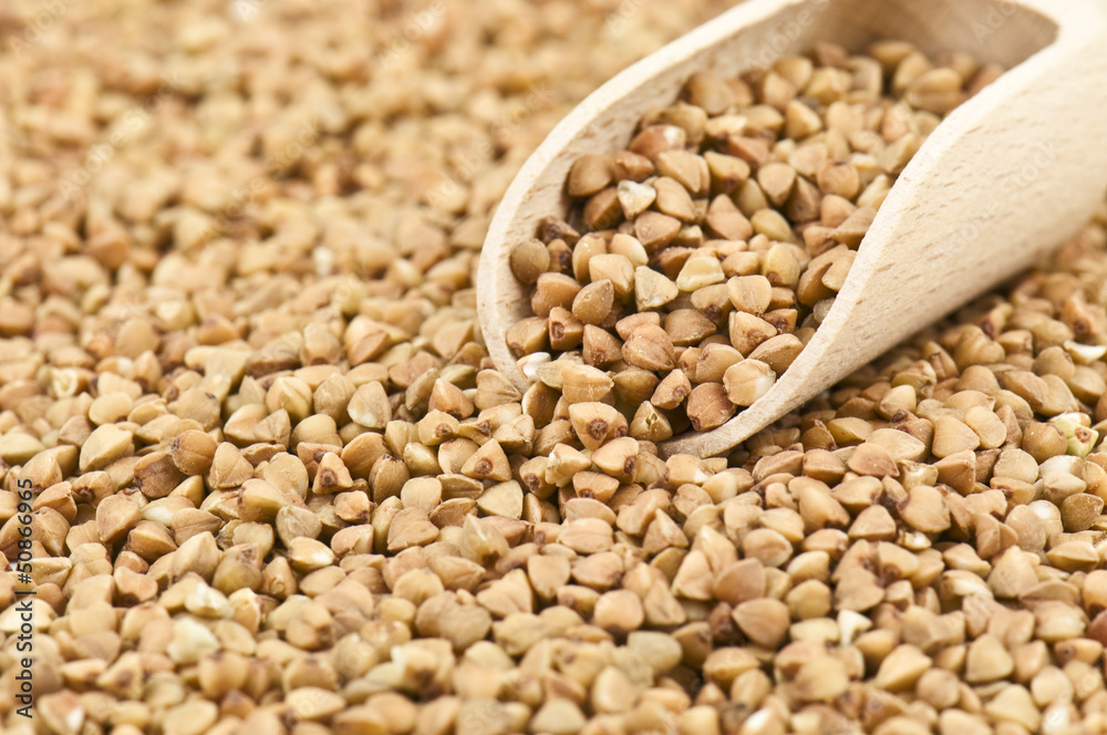 ripe buckwheat ripe buckwheat