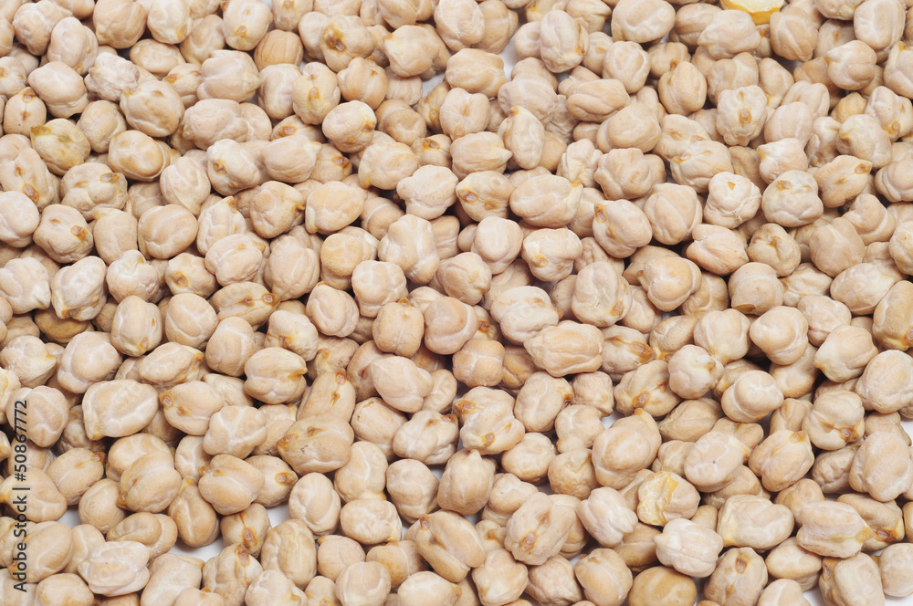 dried chickpeas dried chickpeas