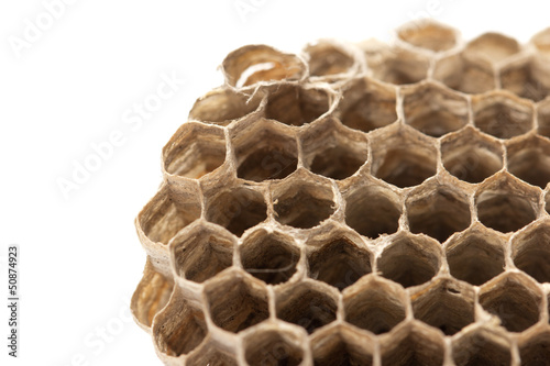 honeycombs   isolated on white background