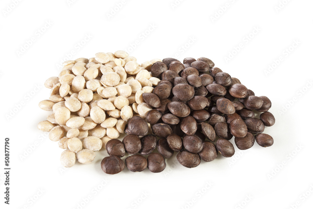 Sacha-Inchi peanut, white and brown seeds called sacha-Inchi Sacha-Inchi peanut, white and brown seeds called sacha-Inchi