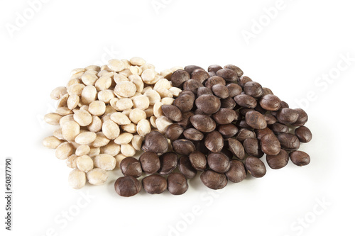 Sacha-Inchi peanut, white and brown seeds called sacha-Inchi