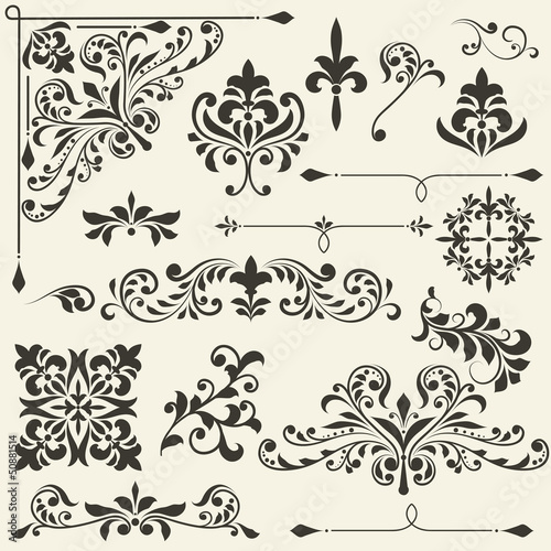 vector vintage floral design elements