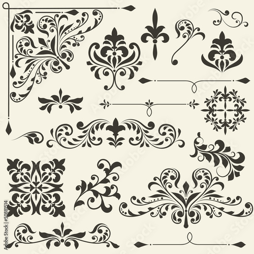 vector  vintage floral  design elements