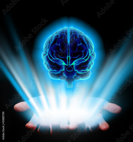 Hands holding human brain