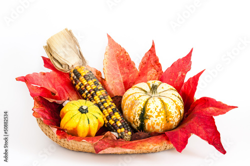 Herbstdekoration, decoration in autumn