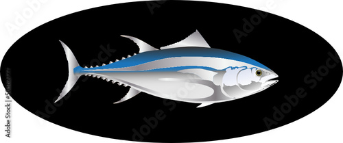 vector tuna fish