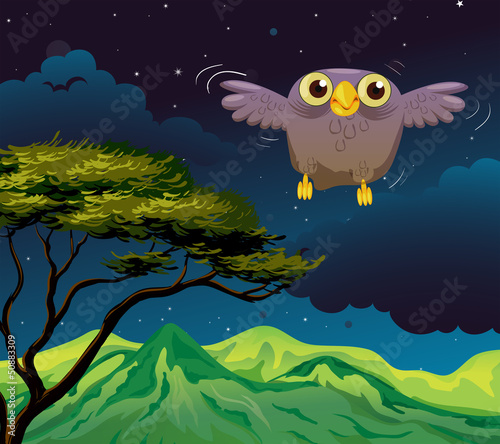 An owl flying in the middle of the night