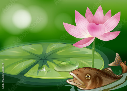 A pond with a fish, a waterlily and a flower