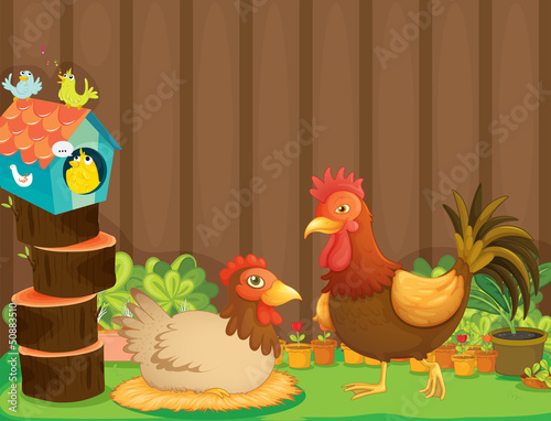 A hen and a rooster beside the bird house