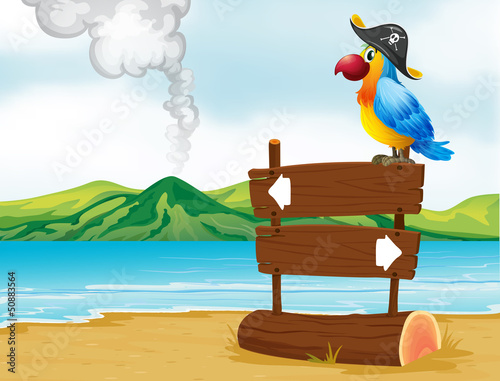A parrot with a pirate hat above the wooden signboard