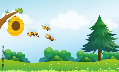 A beehive above the hill with three bees