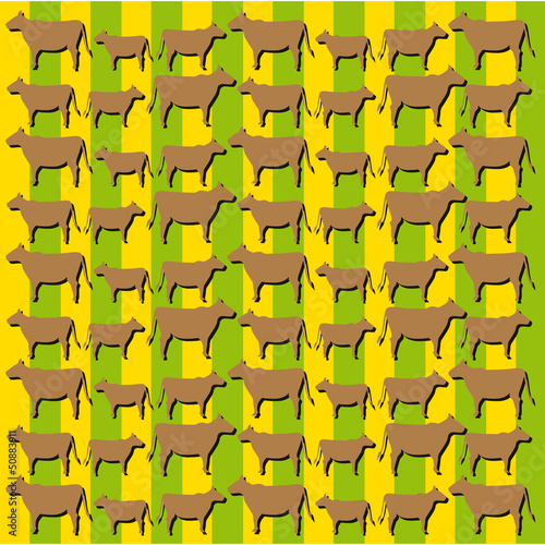 texture mucca