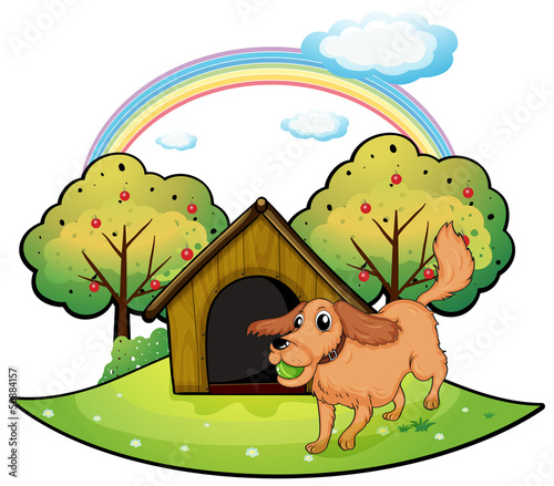 A dog playing outside the doghouse near the apple tree