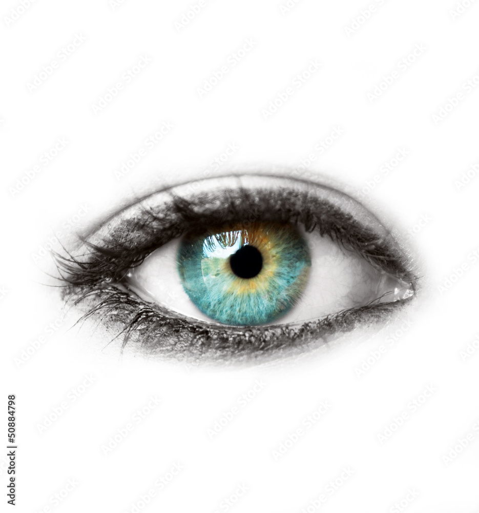 Obraz premium Beautiful blue human eye isolated on white macro shot