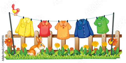 A garden with hanging clothes and a bunny