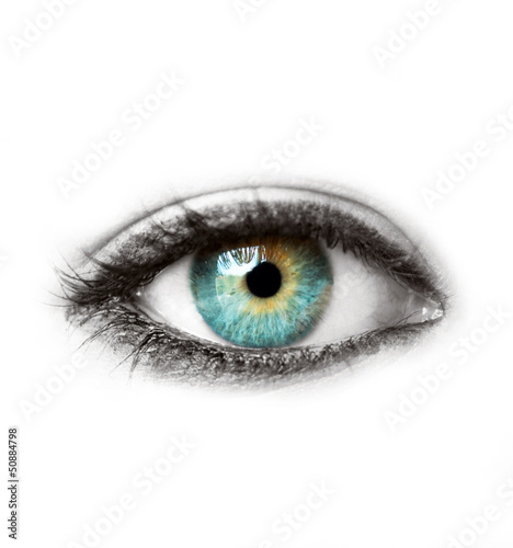 Fotografia Beautiful blue human eye isolated on white macro shot