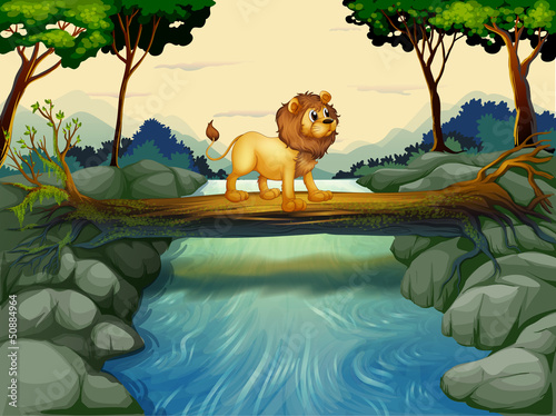 A lion crossing the river