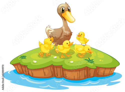Five ducks in an island