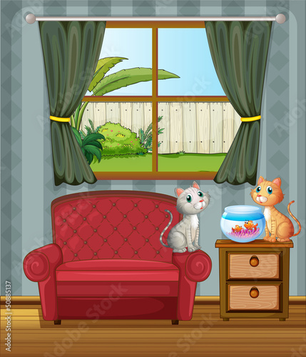 The two cats watching the aquarium
