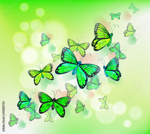 A group of green butterflies