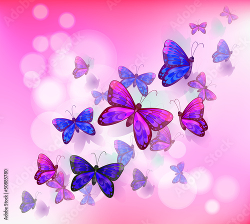 A pink stationery with a group of butterflies