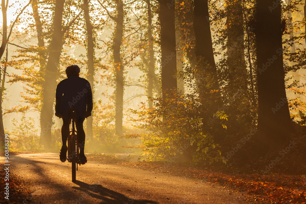Naklejka premium Silhouette of a biker in fall