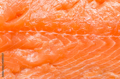 Red Salmon Raw Meat Texture