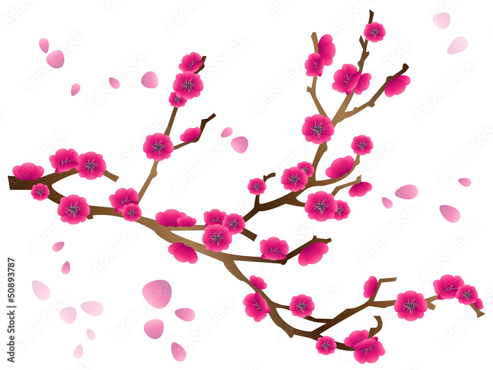 Fototapeta premium Japanische Kirschblüte Zweig Frühling Blumen rosa Vektor isoliert