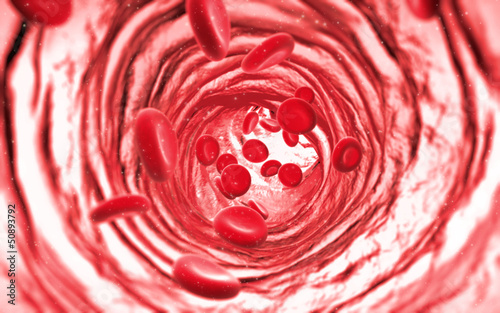 illustration of red blood cells , white blood cells, cancer cell