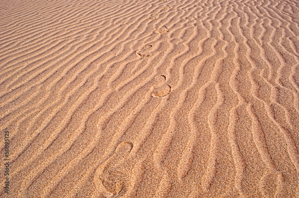 Footprints on the beach Footprints on the beach