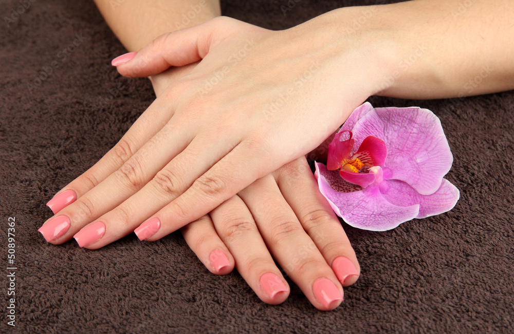 Woman hands with pink manicure and orchid