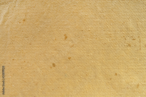 papyrus paper texture background photo