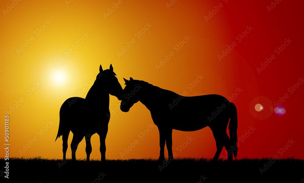 Horses Horses