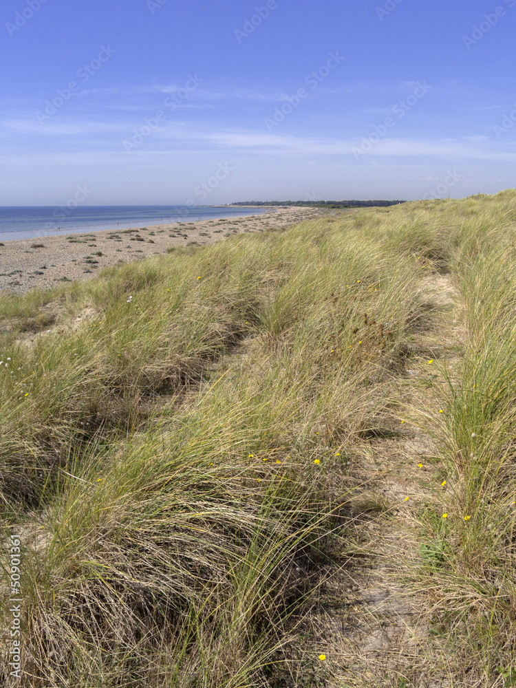 sand dunes sand dunes