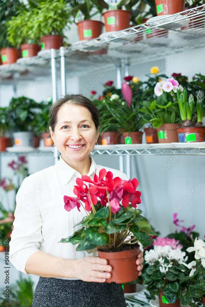 woman in flower shop with Cyclamen
