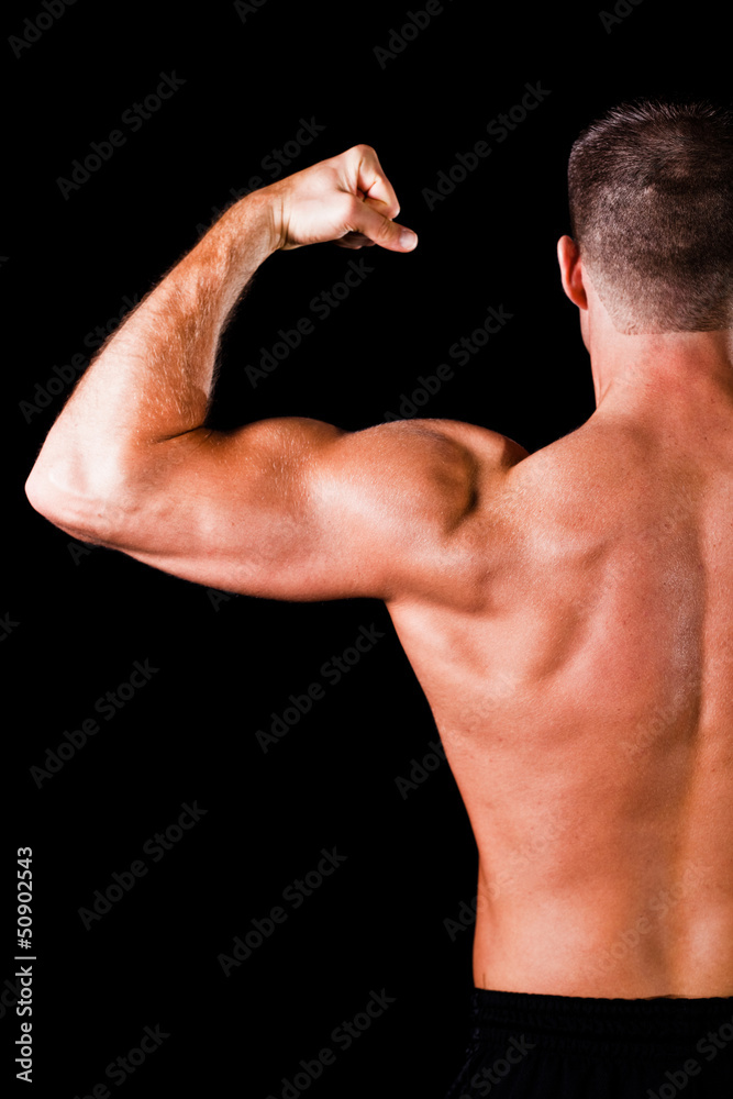 muscular bodybuilder's biceps muscular bodybuilder's biceps