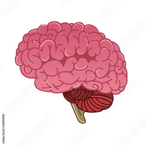 Pink Human brain