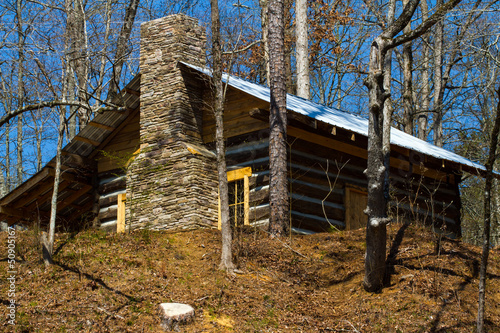 Cabin in the woods