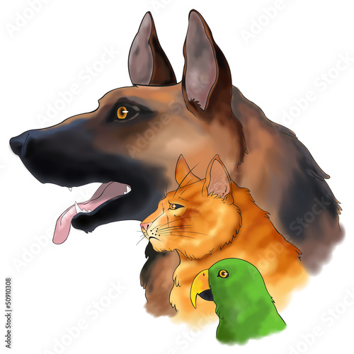 Three pets looking forward in a column (vector)