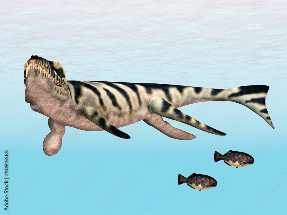 Dakosaurus StockIllustration Adobe Stock
