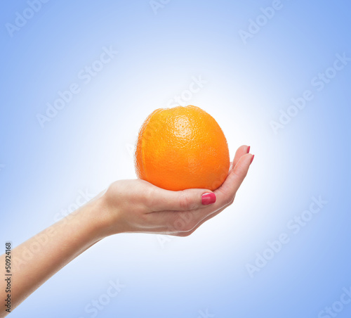 Beautiful female hands with the orange isolated on white