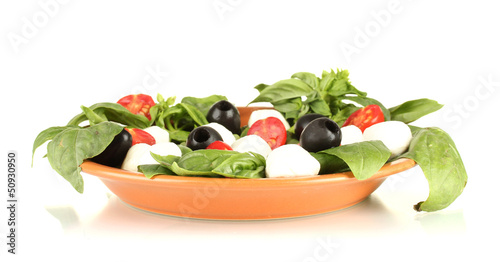 cheese mozzarella with vegetables in the plate isolataed photo