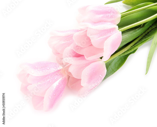 Beautiful bouquet of pink tulips  isolated on white