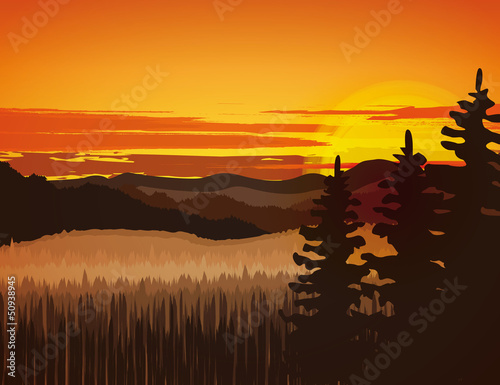 Landscape